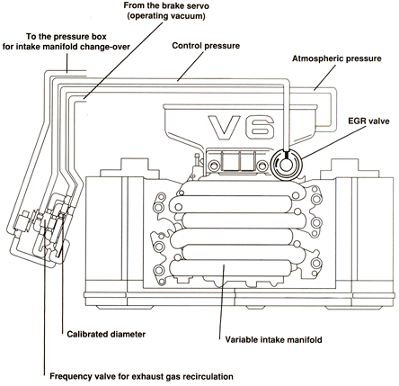 EGR System